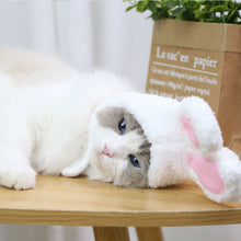 Load image into Gallery viewer, Cute Rabbit Ears Cap for Cats
